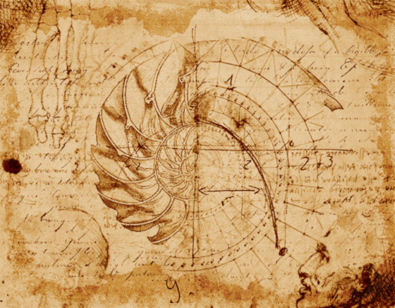 A da Vinci-like drawing showing the spiral of a nautilus shell and its relation to the Golden Mean/Golden Spiral.